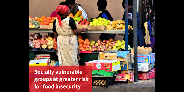 An African woman sorts fruit on a shelf in the street.Social vulnerability and food insecurity are linked in SA 600x300.